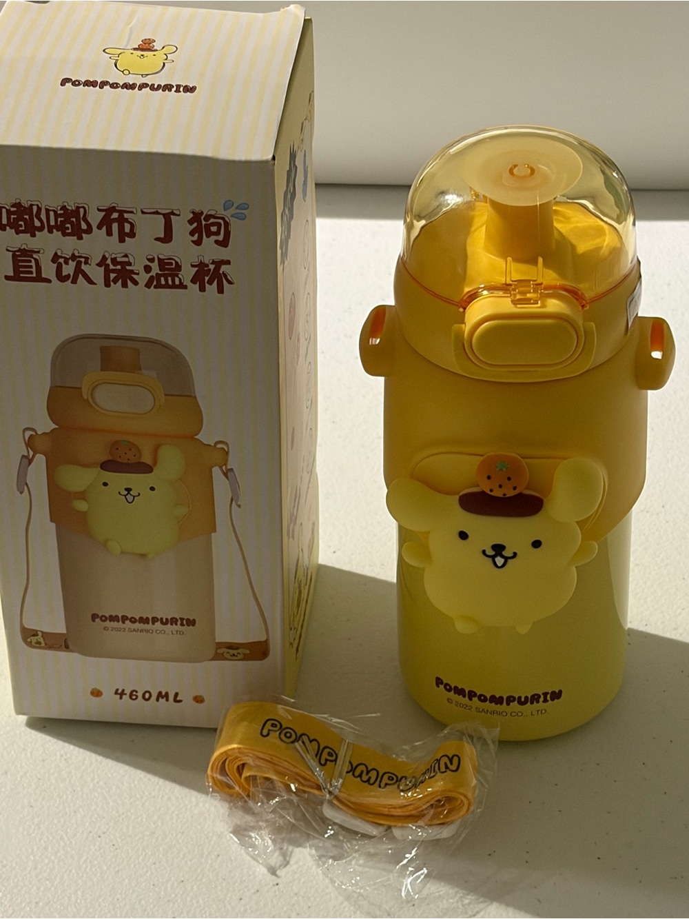 Sanrio Pompompurin Water Bottle with Strap